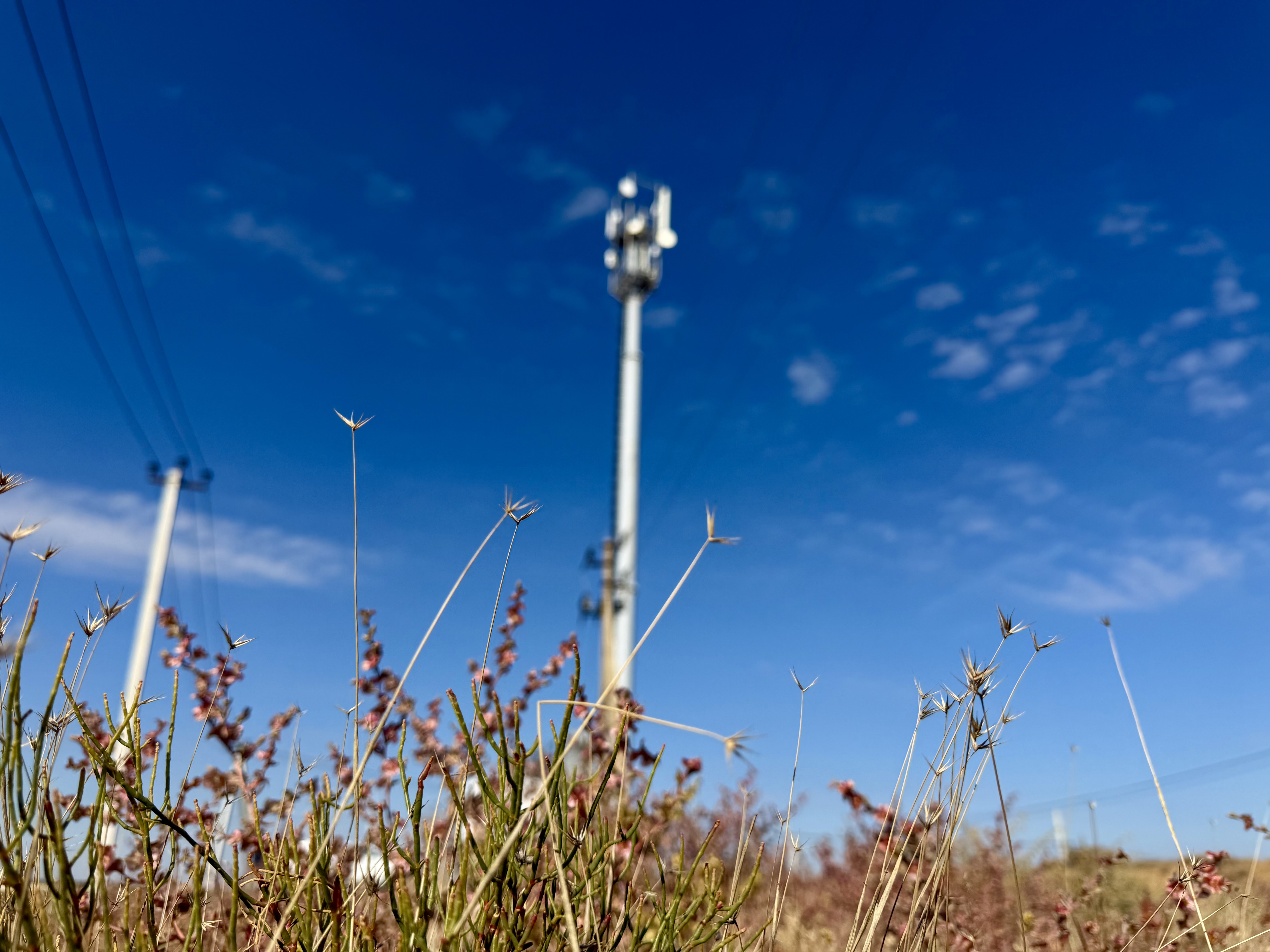 МТС остается лидером по числу коммерческих внедрений сетей Private LTE/5G