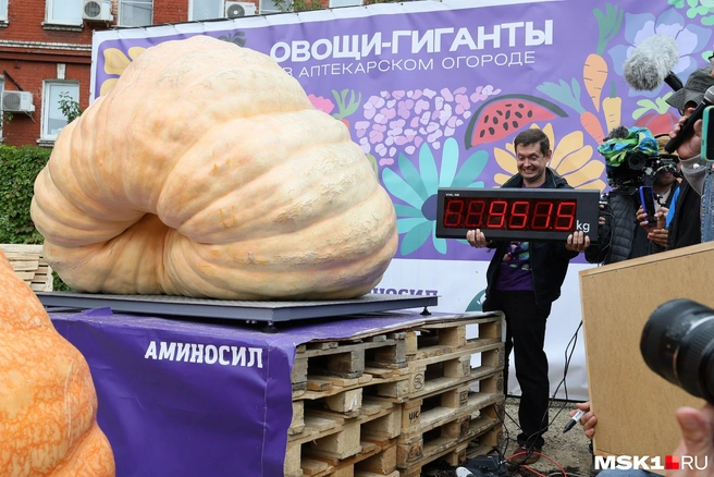 Капуста на 22,5 кг и тыквы по 800 кг: чем опасны овощи-гиганты