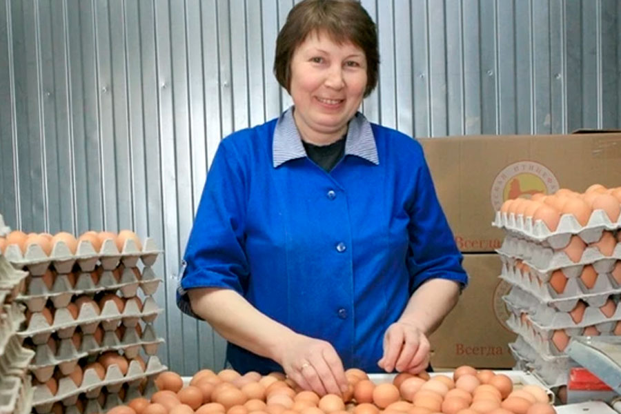 Курс на продовольственную безопасность: обеспеченность яйцами в Якутии хотят поднять до 70%