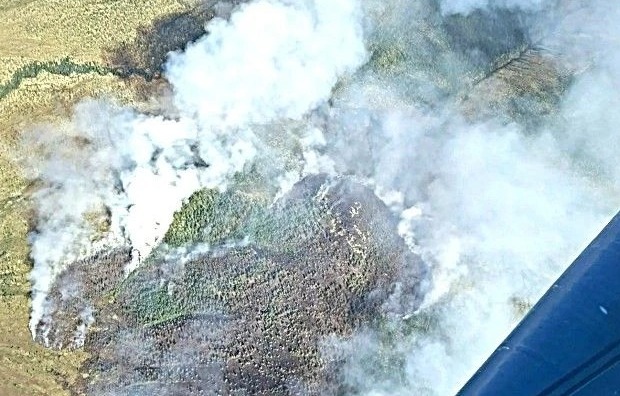 В Якутии тушат лесной пожар в районе полюса холода